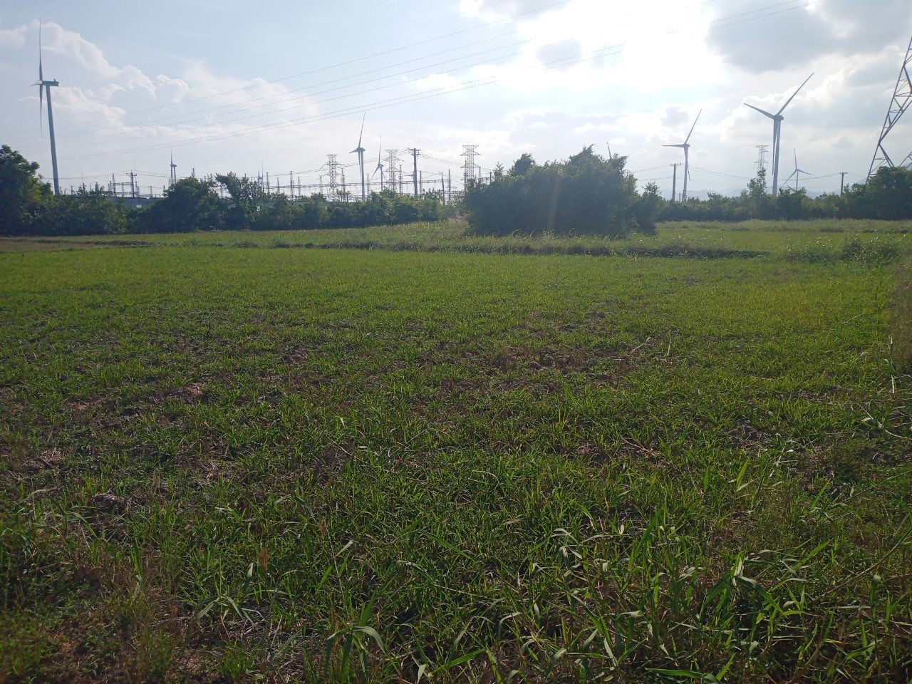 Đất Rộng Cần Bán