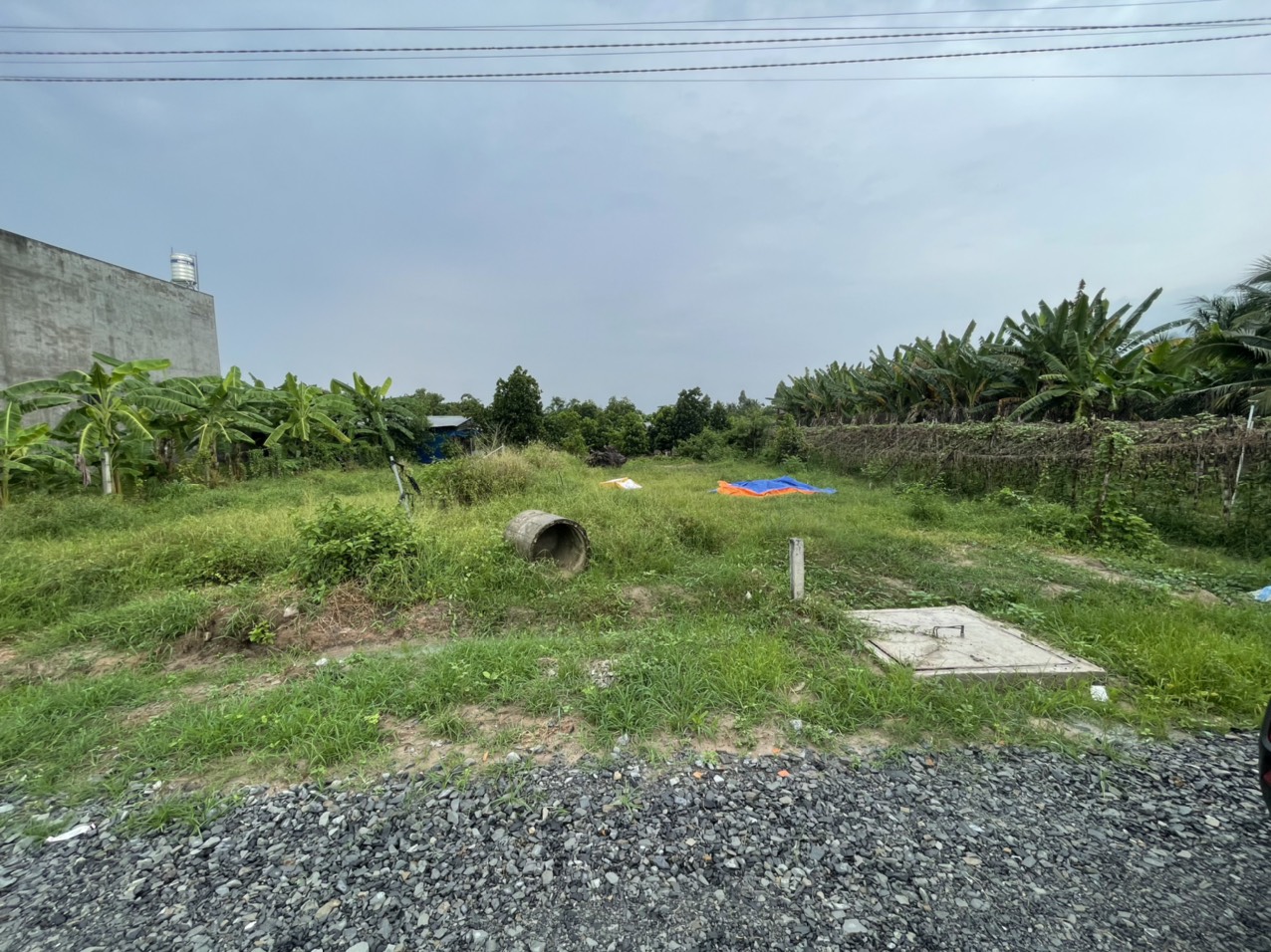 Đầu Tư Đất Nông Nghiệp, Lợi Nhuận Cao Nhưng Cần Thận Trọng Điều Gì?